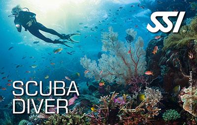 SSI Scuba Diver course in Plymouth