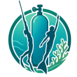 Dive Team