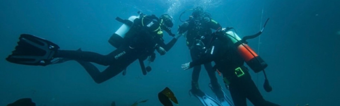 Dive Team